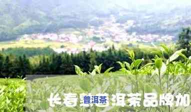 长春普洱茶加盟电话地址查询：获取详细信息与联系方法