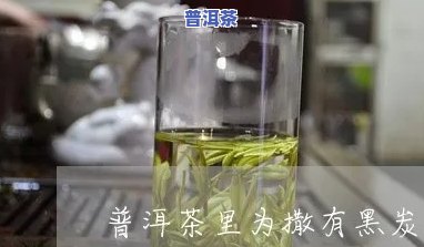 普洱茶里为撒有黑炭-普洱茶里为撒有黑炭呢