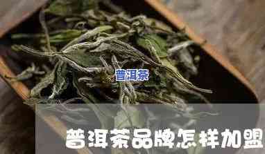 丽水普洱茶怎么代理的，怎样成为丽水普洱茶代理商？详细步骤解析！