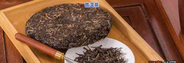 压饼后普洱茶怎么保存更好-压饼后普洱茶怎么保存更好呢