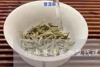 河南普洱茶招商条件，揭秘河南普洱茶招商条件，让您轻松开启茶叶事业！