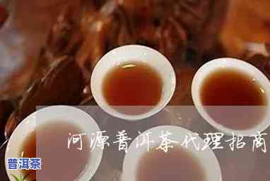 河南普洱茶招商条件，揭秘河南普洱茶招商条件，让您轻松开启茶叶事业！