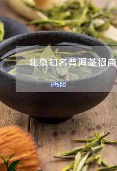 北京高端普洱茶招商电话及地址全览