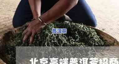 北京高端普洱茶招商-北京高端普洱茶招商电话