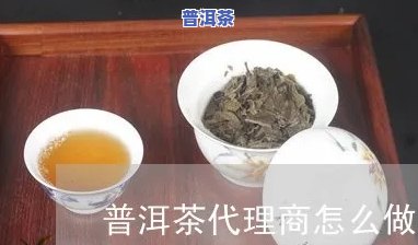 河北普洱茶怎样代理加盟，想做河北普洱茶代理？熟悉加盟流程及条件！