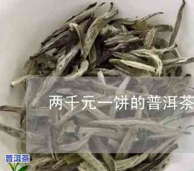 两千块一斤的普洱茶是真的吗，揭秘：两千块一斤的普洱茶，是真是假？