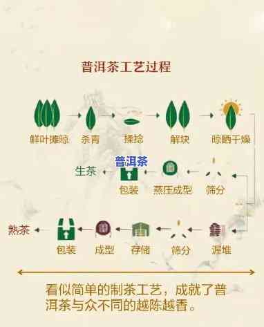 普洱茶制作过程简图，简易步骤揭示：普洱茶的制作过程全解