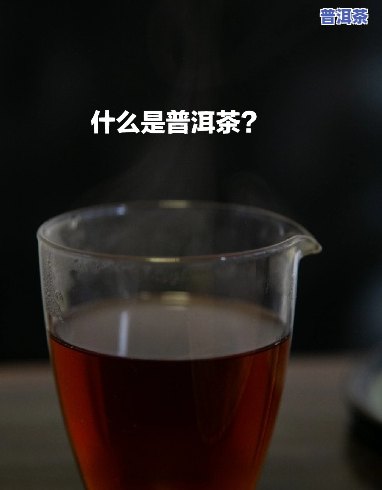 普洱茶跟普通茶有什么区别-普洱茶跟普通茶有什么区别呢