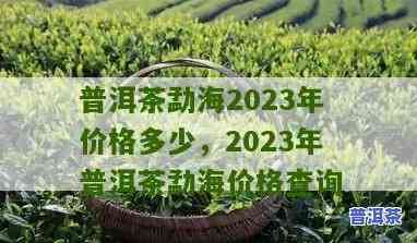 2023年普洱茶价格高吗-2023年普洱茶价格高吗