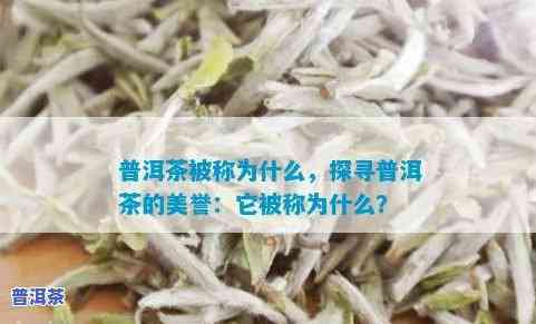 普洱茶被誉为，探究普洱茶的美誉之源：为何被誉为茶中瑰宝？