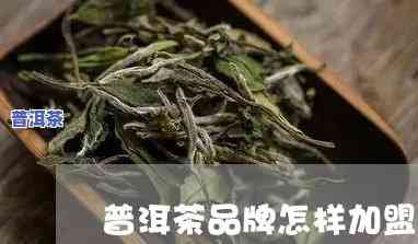 梧州普洱茶怎样加盟代理，加入梧州普洱茶大家庭，开启你的代理之路！