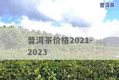 2023最贵10大普洱茶-2021年最贵普洱茶