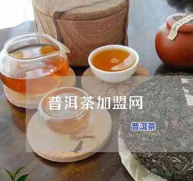 泰安普洱茶招商加盟-泰安普洱茶招商加盟电话