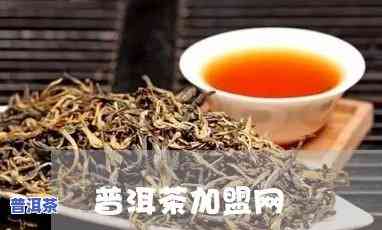 泰安普洱茶招商加盟-泰安普洱茶招商加盟电话