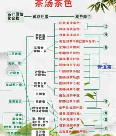 不同产区普洱茶味道区别图片，探索普洱茶的世界：不同产区的味道差异，一图看懂！