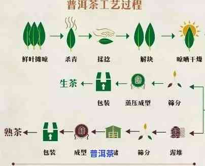 普洱茶制作流程图，揭秘普洱茶的制作过程：一份详细的流程图解析