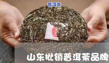 山东的普洱茶是哪家，探寻山东的普洱茶，你最喜欢的是哪家？