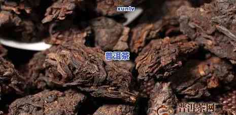 普洱茶化石是什么东西，解密普洱茶化石：它是什么，有何特点？