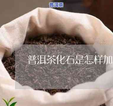 普洱茶化石制作方法全解析