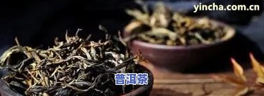 普洱茶泡出来为什么有小杂质？详解起因与解决方法