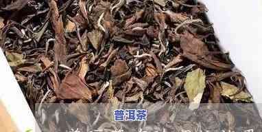 普洱茶除湿效果更好：品种及实证分析