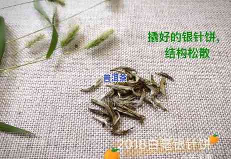 荒野白牡丹和普洱茶哪个好，荒野白牡丹 vs 普洱茶：哪种更好？