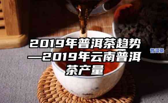 云南普洱茶市场调查报告：全面分析与总结