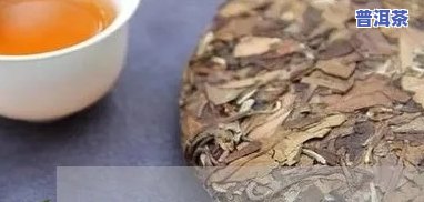 潮汕普洱茶场在哪里-潮汕普洱茶场在哪里啊