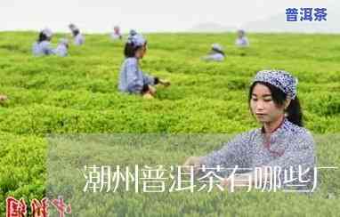 潮汕普洱茶场在哪里-潮汕普洱茶场在哪里啊