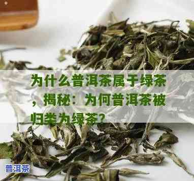 为什么现在的普洱茶叫绿茶-为什么现在的普洱茶叫绿茶呢