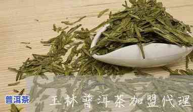 玉林普洱茶加盟条件全解析