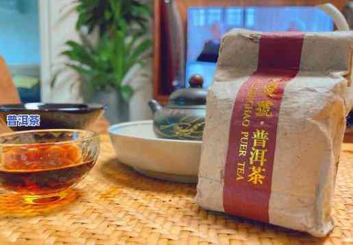 同庆堂普洱茶官网2009年茶饼，品味历史韵味，尽在同庆堂普洱茶官网2009年茶饼