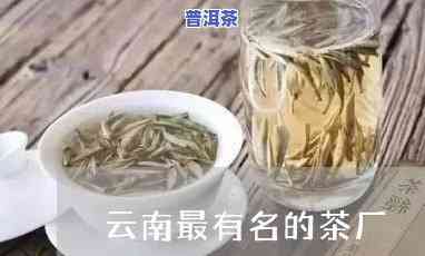 云南腾冲哪个茶厂有名气，探寻云南腾冲知名茶厂，品味地道茗香