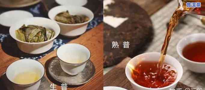 云南保山腾冲普洱茶怎么样-云南腾冲普洱茶好不好