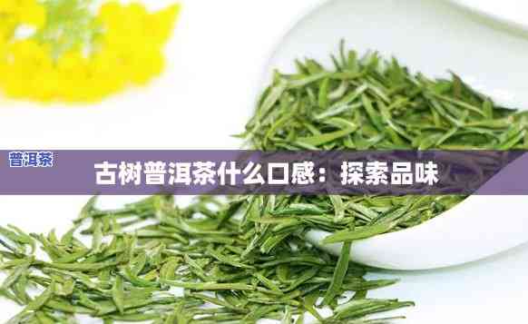 如何描述古言堂普洱茶的口感：从古树茶中寻找答案