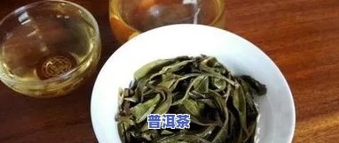 送茶送普洱茶好吗？普洱茶的送礼讲究与选择