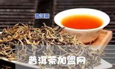 湖北知名普洱茶招商-湖北知名普洱茶招商电话