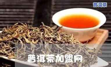 普洱茶代理加盟所需费用是多少？