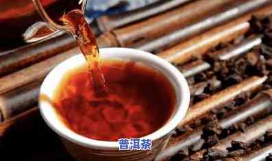 三伏天能不能普洱茶-三伏天能喝普洱茶吗