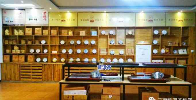 普洱茶加盟店，探秘茶文化：普洱茶加盟店的崛起与未来展望