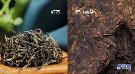 比较红茶和普洱熟茶的特点，品鉴红茶与普洱熟茶：特点对比解析