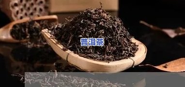 普洱茶化石怎么形成的视频-普洱茶化石怎么形成的视频讲解