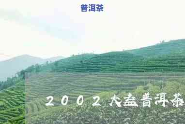 正山大叶普洱茶2002年价格表，最新！2002年正山大叶普洱茶市场价格一览表