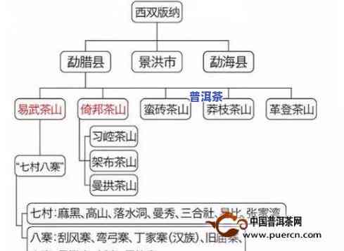 探秘普洱茶：十大山头、排名与特点全解析