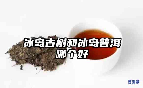 冰岛是不是属于普洱茶？探讨其分类归属与起因