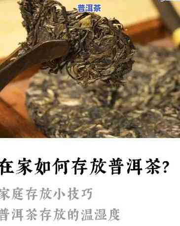 普洱茶可以放好久，长久保存：揭秘普洱茶的存放秘诀