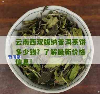 西双版纳一饼普洱茶多少钱-云南西双版纳普洱茶饼多少钱