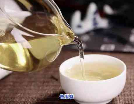 三伏天喝普洱茶好吗，探秘夏日饮品：三伏天喝普洱茶的好处与留意事项