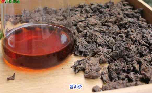 九十年代黑标普洱茶-九十年代十大标杆普洱茶