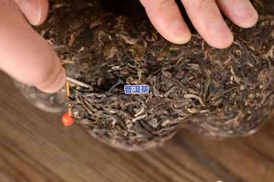 全面解析：怎样鉴定普洱茶的好坏？视频教程在此！